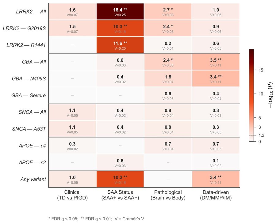 Heatmap of gene-variant association strength across four PD subtyping schemes