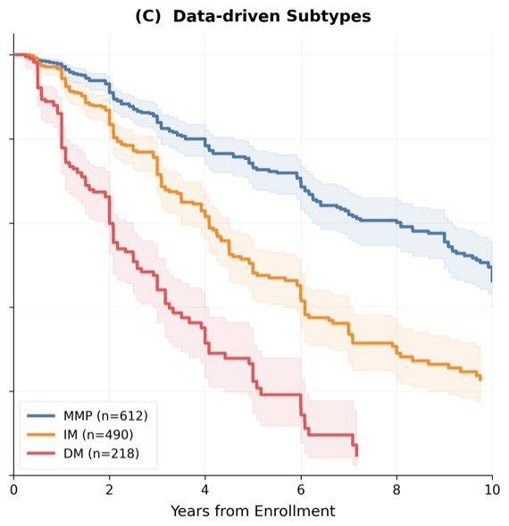 Kaplan-Meier curves of milestone-free probability for data-driven PD subtypes